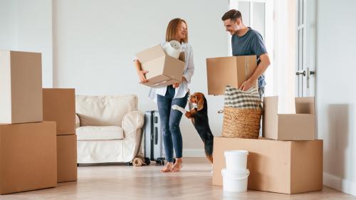 Mit Hund eine Wohnung zu finden, ist eine Herkulesaufgabe. Foto: Shutterstock