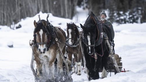 Eine Arbeitsgemeinschaft zwischen Mensch und Tier. Foto: Mayk Wendt
