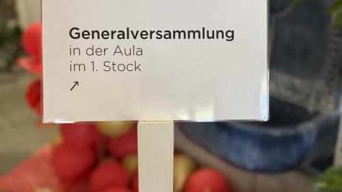 An der 110. Generalversammlung des HIF wurden sämtliche Traktanden genehmigt. Foto: Fadrina Hofmann