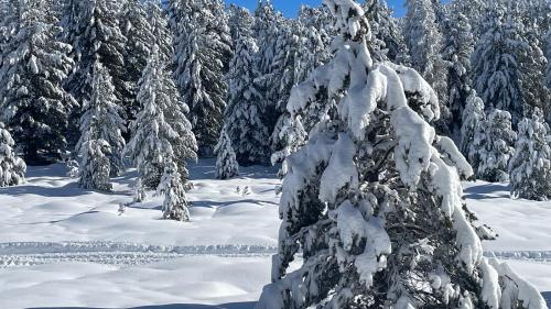 Aktuelle Impressionen aus dem Engadin. Foto Reto Stifel