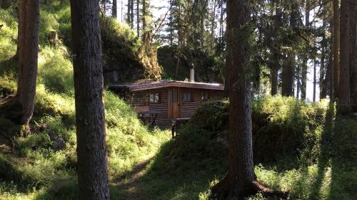 La chamonna a Tramblai/S-chalambert vaiva fabrichà il bap dals fradgliuns Quadroni. Plüssas famiglias e plüs partits in cumün da Valsot han chamonnas sün parcellas in dret da fabrica (fotografia: Adam Quadroni).