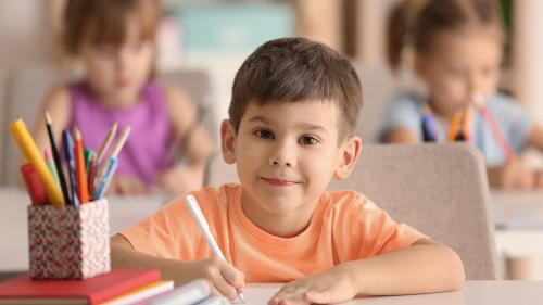 Die Schülerinnen und Schüler dürfen sich anhand von vorgegebenen Lernzielen auf Prüfungen vorbereiten. Foto: Shutterstock/AfricaStudio