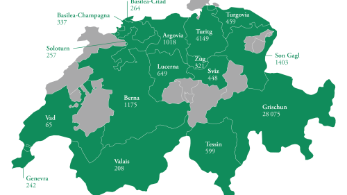 La «populaziun» rumantscha es gnüda calculada adüna culla media da las cifras dals ons 2017 fin 2021 tenor las cifras da l’Uffizi federal da statistica. Pels chantuns sainza cifras nu daja avuonda datas (grafica: RTR)