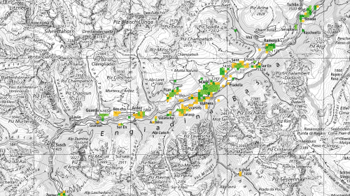 Il «atlas da bindel larg» dal BAKOM muossa quants pertschients dals edifizis sün ün quader chi han access a la rait da fibras opticas (carta: Swisstopo).