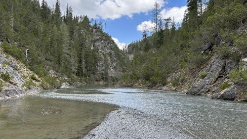 A partir da la prümavaira 2026 vain sanà il Spöl dal tössi PCB. Las lavurs preparativas sco eir la translocaziun da la populaziun da peschs i’l Spöl vegnan  però fingià realisadas a partir da quista stà (fotografia: OEE).