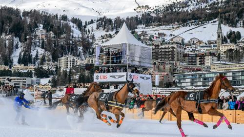 Bei sieben Pferden kam beim Skikjöring nur ein Reiter ins Ziel. Foto: fotoswiss.com/giancarlo cattaneo 