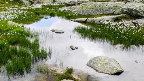 Foto: Jon Duschletta