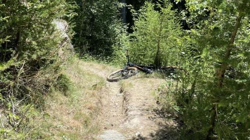 Die Unfallstelle kurz vor einer Linkskurve.