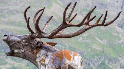 Foto: Jon Duschletta