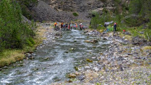 Die Fische im Spöl werden herausgefischt und umgesiedelt. Foto: Schweizerischer Nationalpark/Hans Lozza