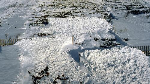 Lawinenabgang in der Versuchsaufforstung 1989: Damals waren die Bäume zu klein, um Abgänge wirkungsvoll zu verhindern. Foto: Walther Schönenberger/SLF