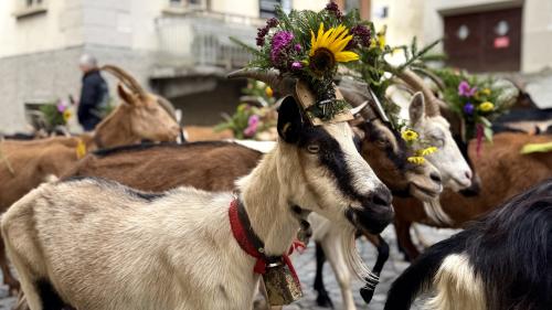 Foto: Fadrina Hofmann