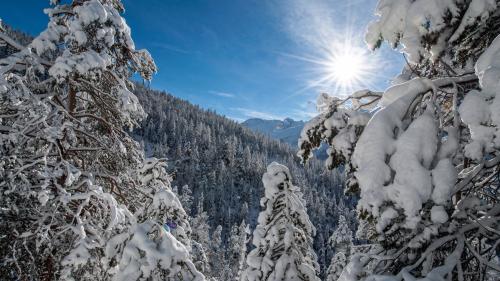 La natüra i’l Parc Naziunal Svizzer vain perscrutada eir dürant il temp d’inviern (fotografia: Hans Lozza/PNS)