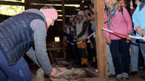 Illa cuort da la Tessanda a Sta. Maria es gnü sfrachà ed elavurà il glin indigen cun apparats istorics our dal fundus da la Clostra San Jon (fotografia: Dominik Täuber)