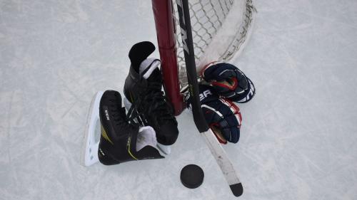 Foto: Maria Hewines / Unsplash