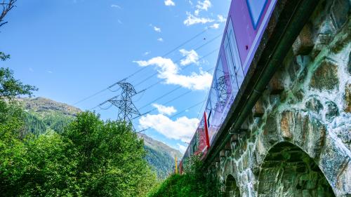 Die 380-kV-Höchstspannungsleitung der Swissgrid über den Albulapass quert im Gebiet Agnas zwischen La Punt und Bever auch das Trassee der 
Rhätischen Bahn. Fotos: Jon Duschletta