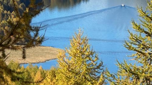 Herbst am Silsersee. Foto: Helen Heé