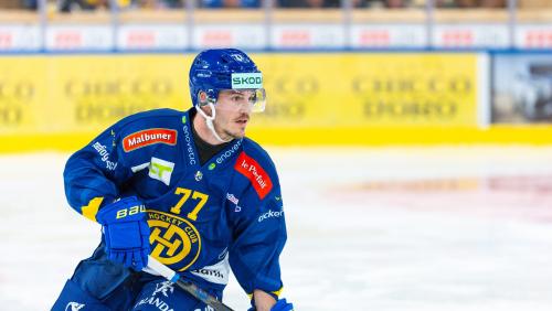 Wird drei weitere Jahre für den HC Davos auflaufen: Nico Gross aus Pontresina. Foto: HCD/Maurice Parrée