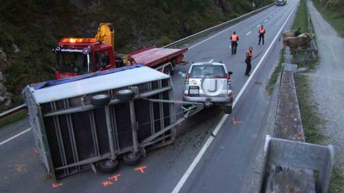 Foto: Kantonspolizei