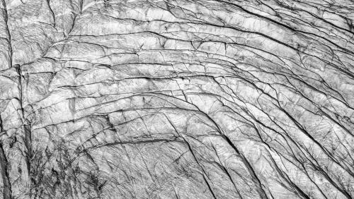 Das Bild des Morteratschgletschers wird auf ricardo.ch versteigert. Foto: Mayk Wendt