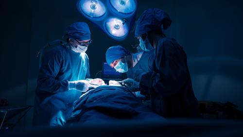 Foto: www.shutterstock.com/Pratchaya. Lee