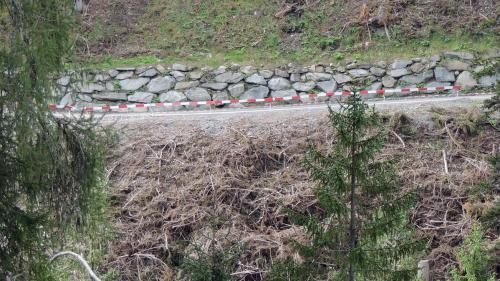 La costa instabila davo la punt chaschuna adüna darcheu dons (fotografia: Benedict Stecher).