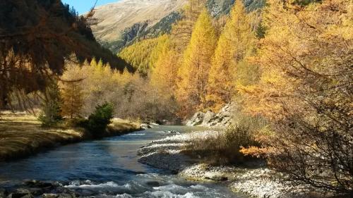 Dad ir a pes-char, in flüms o lais sco per exaimpel illa Val Susasca, dess esser tenor Nicola Gaudenz, guardgiapes-cha regiunal, in prüma lingia il giodimaint da l’evenimaint. Il butin saja il punct sül i dal hobi (fotografia: Nicola Gaudenz).