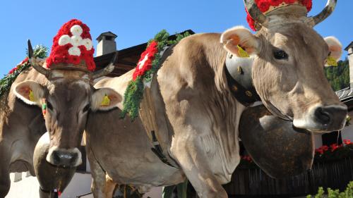 Foto: engadinfoto.ch/Rolf Müri