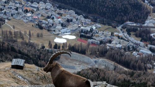 Foto: Pontresina Tourismus/Susanne Bonaca