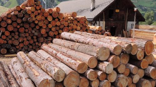 La resgia da Tarasp es gnüda fabrichada intuorn l’on 1900 (fotografia: Benedict Stecher).