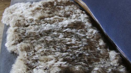 Myriam Gallo, veganes Fell, F.R.E.D.I., Distelsamen, 50 x 70 x 3 cm, 2018. Fotos: Bettina Gugger