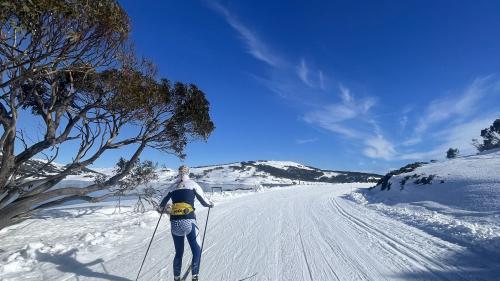 Trainieren zwischen Eukalyptusbäumen: «Für alle Langlaufliebhaber und Abenteuerlustige ist der australische Winter definitiv eine Reise wert!», findet Fabiana Wieser. 