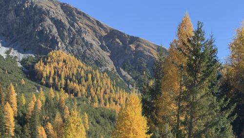 Foto: Larissa Bassin