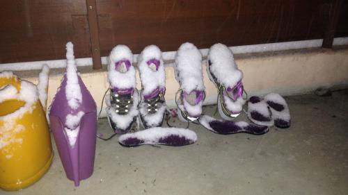 Fotos: Anne-Marie Flammersfeld