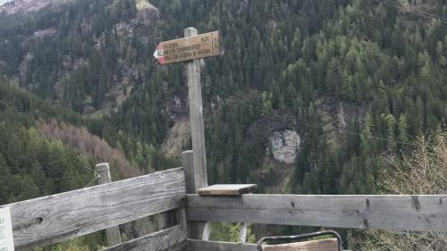 Foto: Anne-Marie Flammersfeld