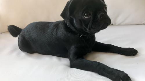 Wie die dreijährige Lulu, das Leben unserer Bloggerin Romana Ganzoni auf den Kopf stellt. Fotos: Romana Ganzoni