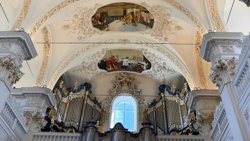 Die prächtigen Deckenmalereien und die Orgel der Klosterkirche Disentis beeindruckten die Reisegruppe aus Pontresina. Foto: Margit Rothwangl