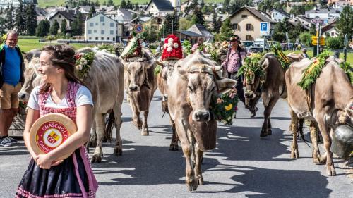 Foto: Daniel Zaugg