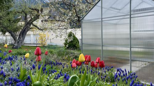 Zum Gartenglück gehört neuerdings auch ein Gewächshaus dazu. Foto: Fadrina Hofmann
