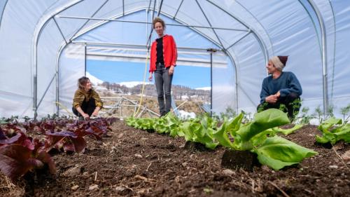 Die drei Klimabauern vom Bio-Hof Bain Chavalatsch in Scuol: v.l. Aita Puorger, Marion Schild und Samuel Hauenstein. Foto: Jon Duschletta